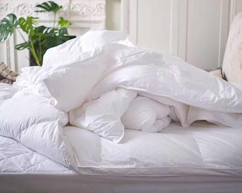 Duvets and pillows collections